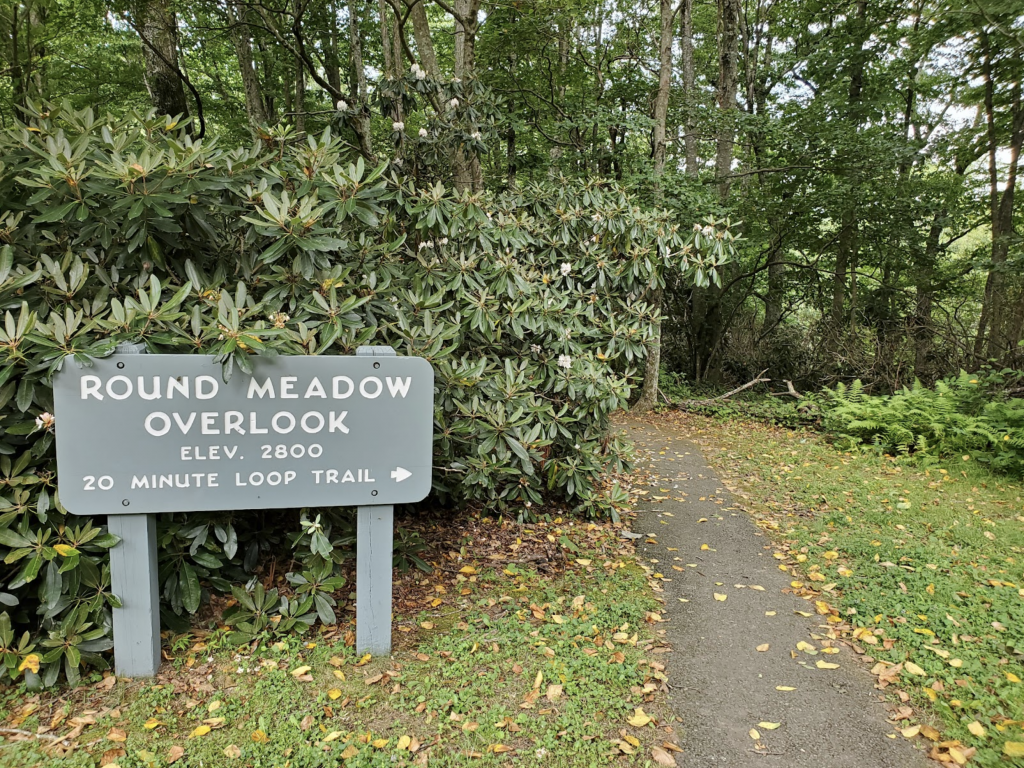 Round Meadow Creek Trail & Overlook